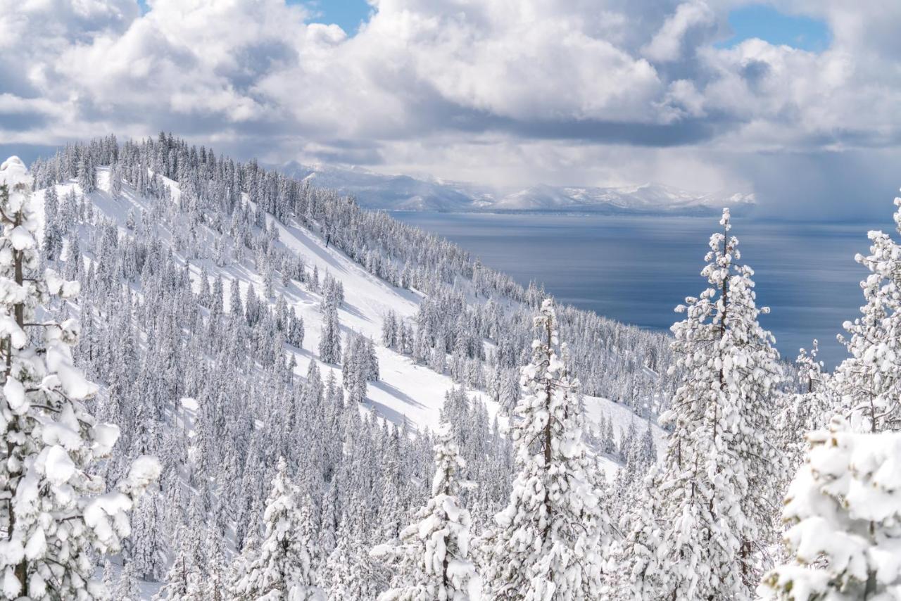 Cedars West Daire Incline Village Dış mekan fotoğraf